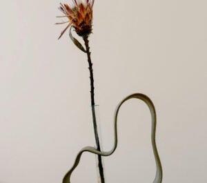 Nordic Candlestick